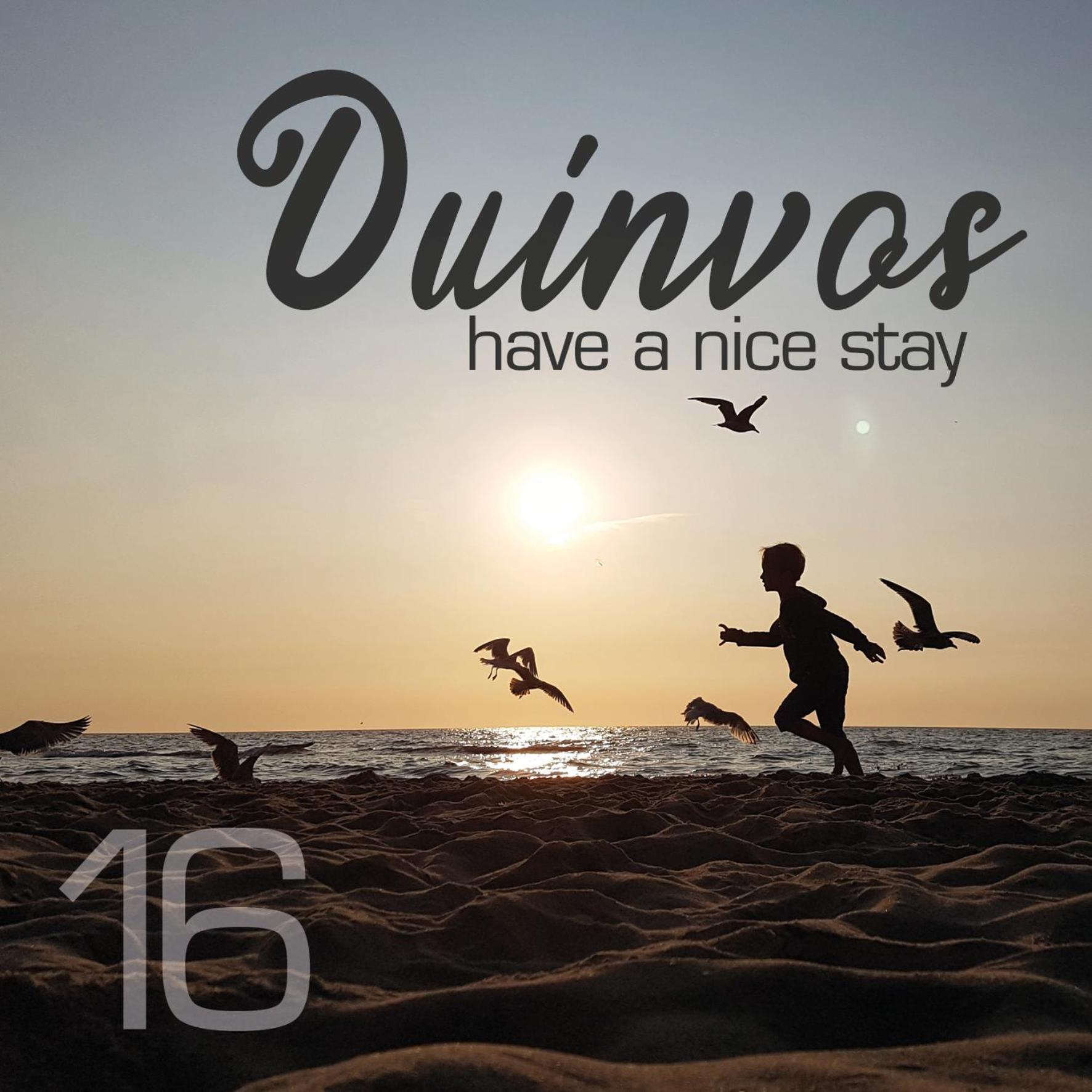 Apartment Duinvos 150M From The Beach 诺德韦克 外观 照片